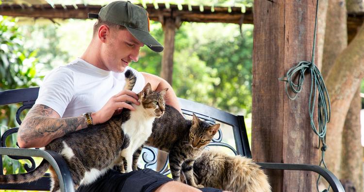 Everything You Need to Know About Cat Shelter Volunteering