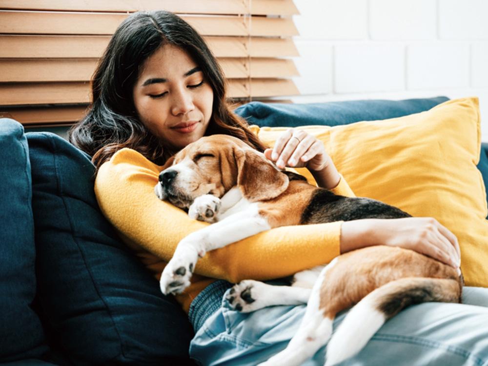 woman hugging friendly beagle