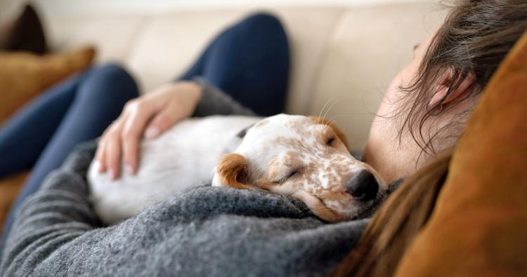 Puppy Sleep Schedule: How to Sleep Train Your Puppy