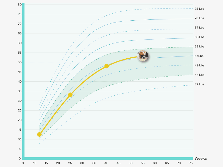 puppy weight growth chart