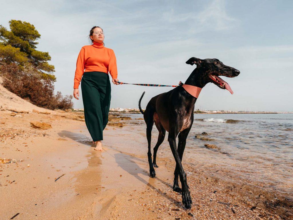 Woman walking greyhound dog on beach